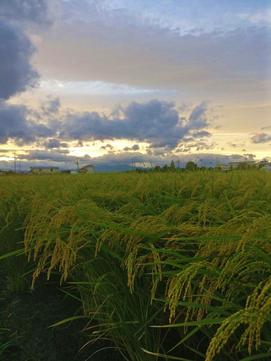 photo_2018-09-29_16-36-31