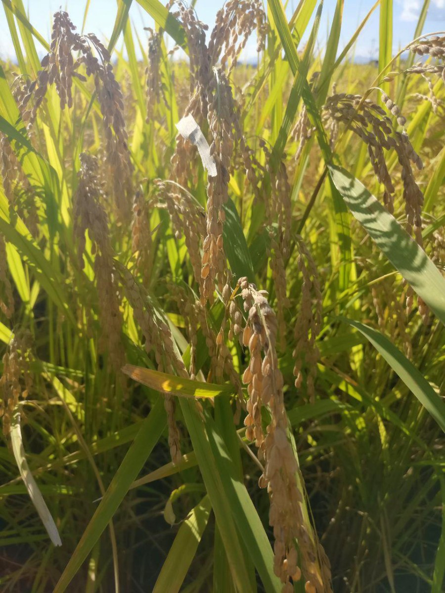 photo_2018-09-29_16-42-17