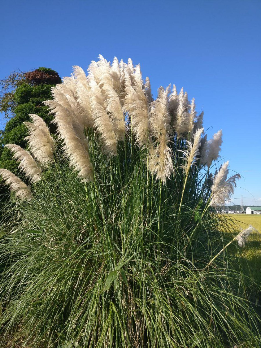 photo_2018-09-29_16-42-40