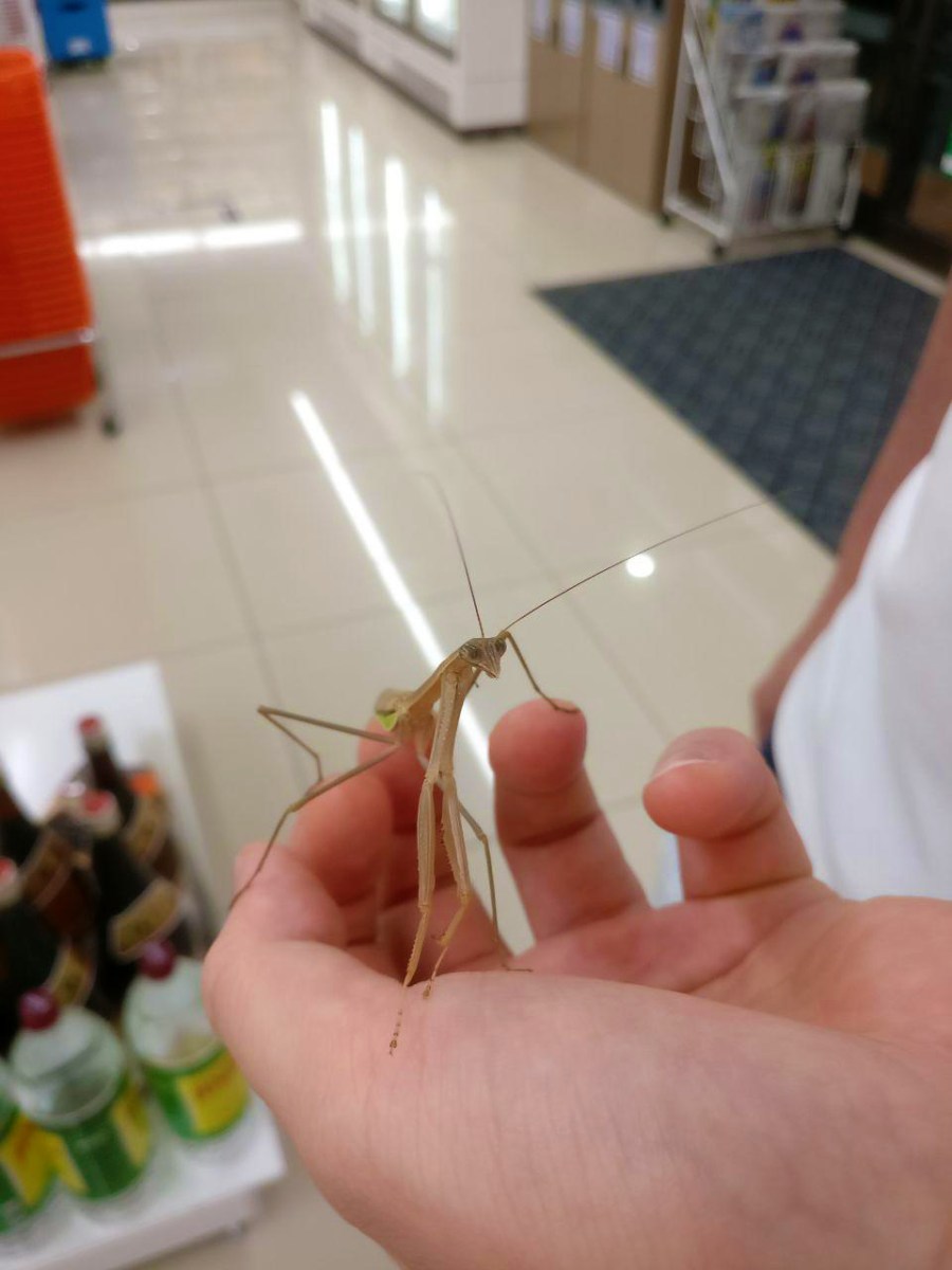 photo_2018-09-29_16-45-32