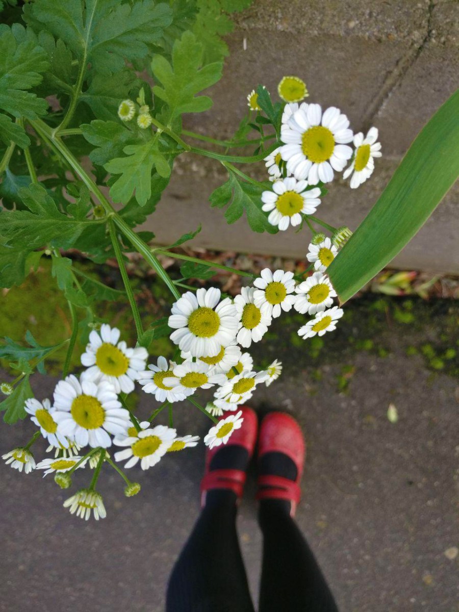 photo_2018-10-17_16-34-52
