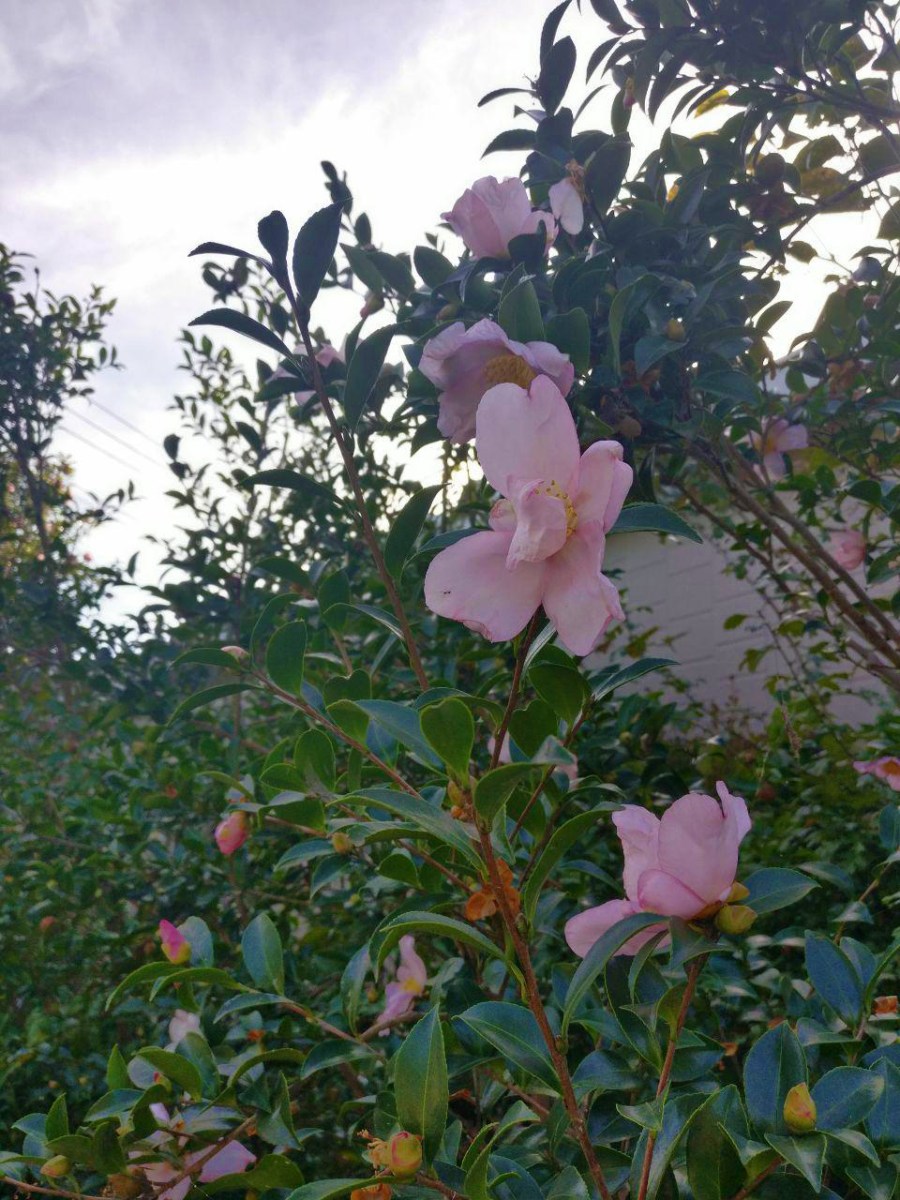 photo_2018-10-22_18-48-52