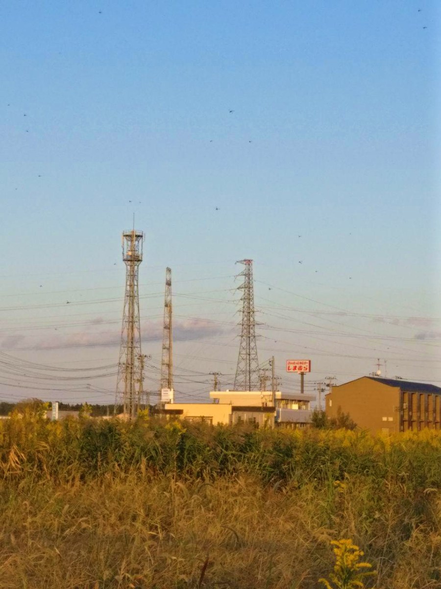 photo_2018-10-22_18-50-44