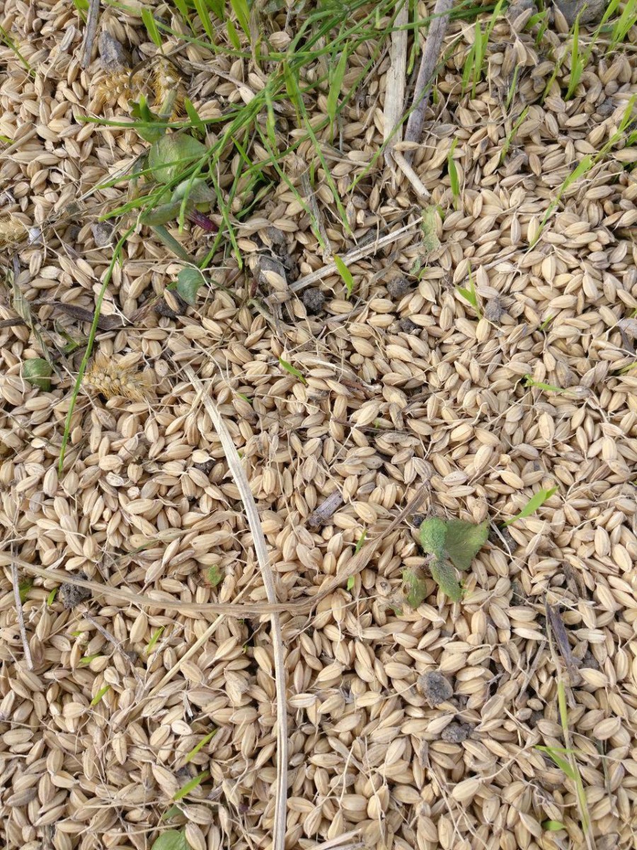 photo_2018-10-22_18-54-33