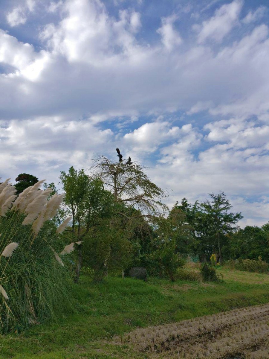 photo_2018-10-22_18-54-37