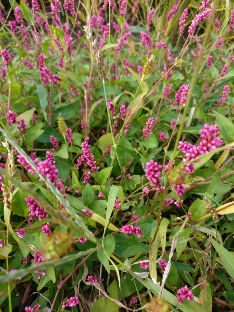 photo_2018-10-22_18-55-38