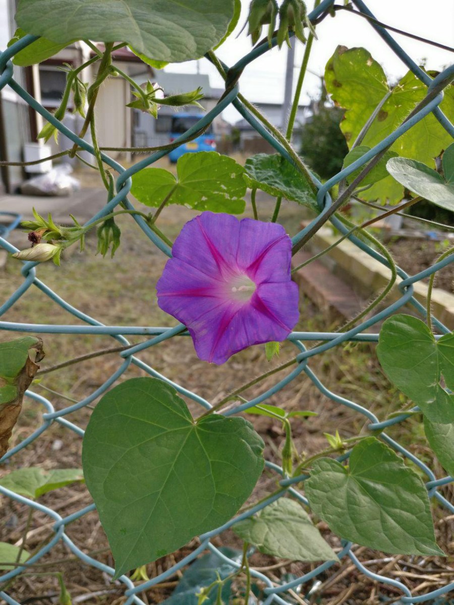 photo_2018-10-22_18-56-12