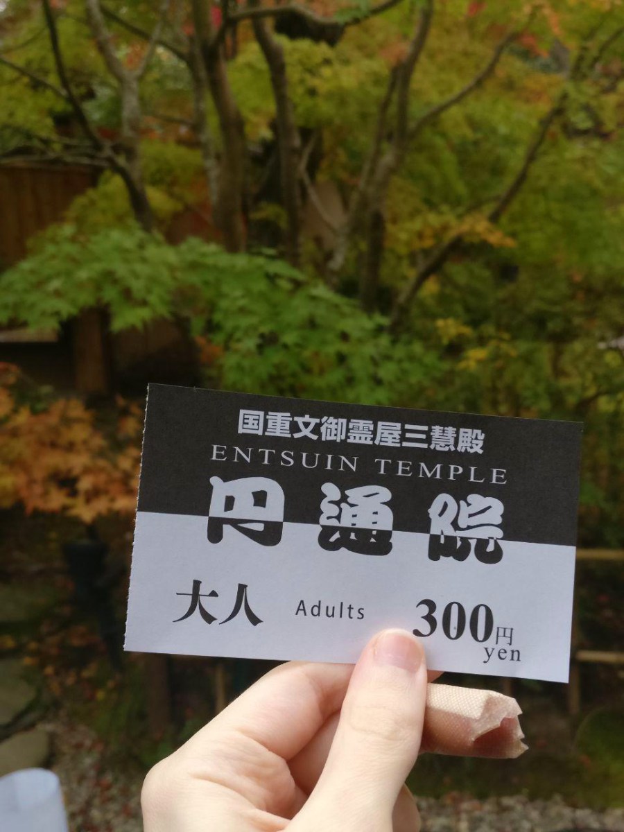 photo_2018-11-09_01-30-28