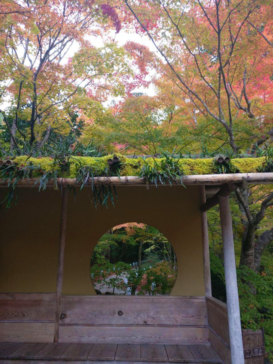 photo_2018-11-09_01-32-21