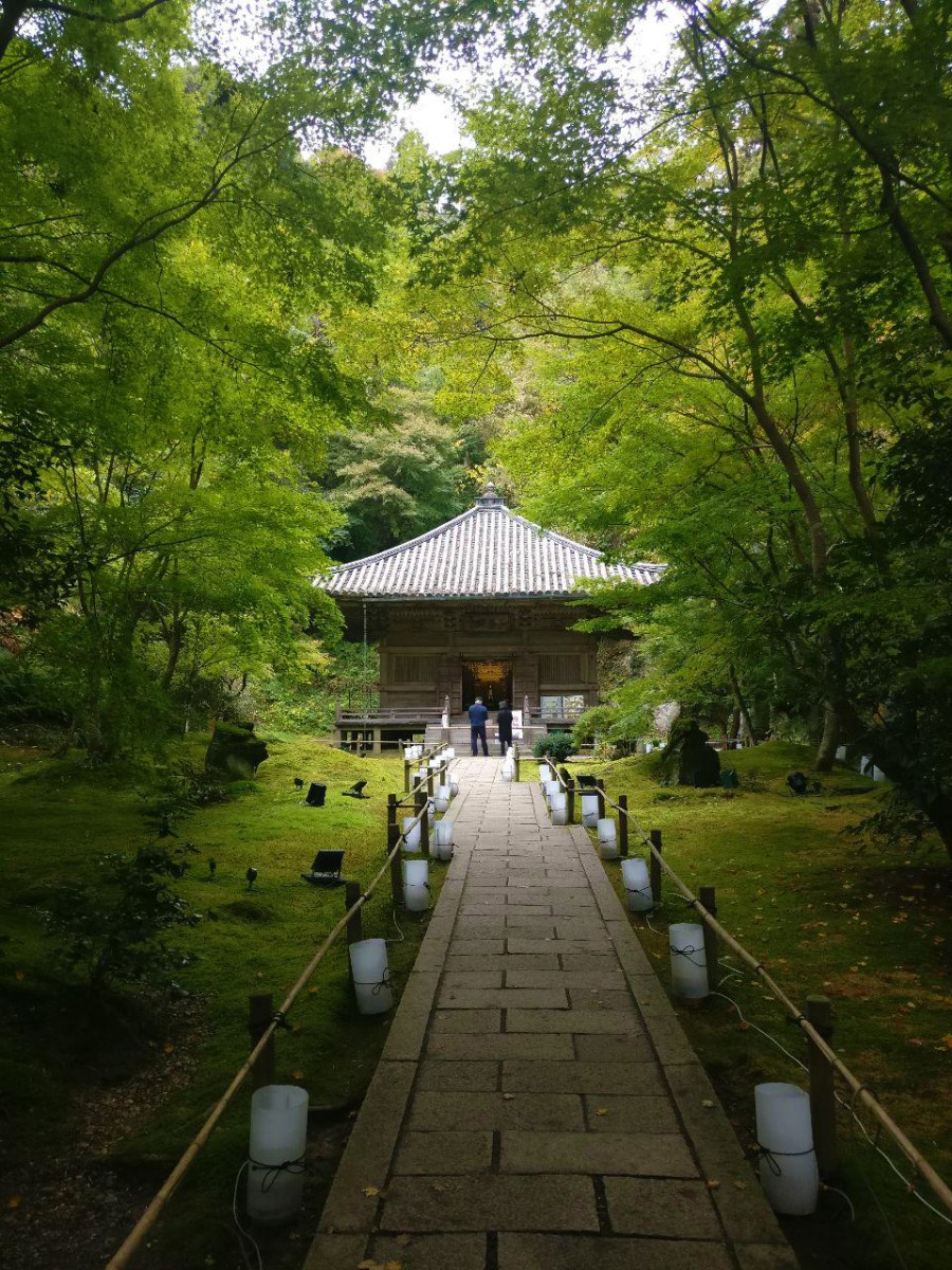 photo_2018-11-09_01-32-47