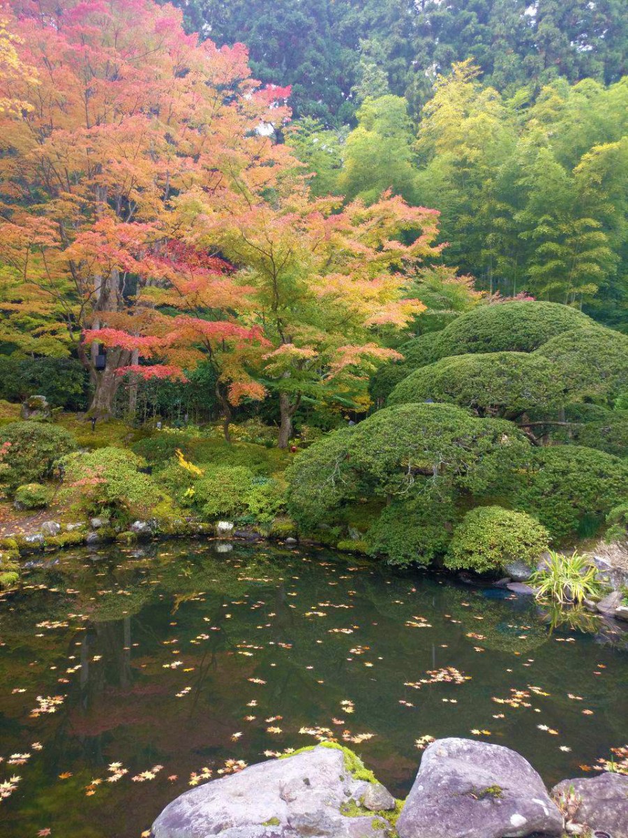 photo_2018-11-09_01-34-20