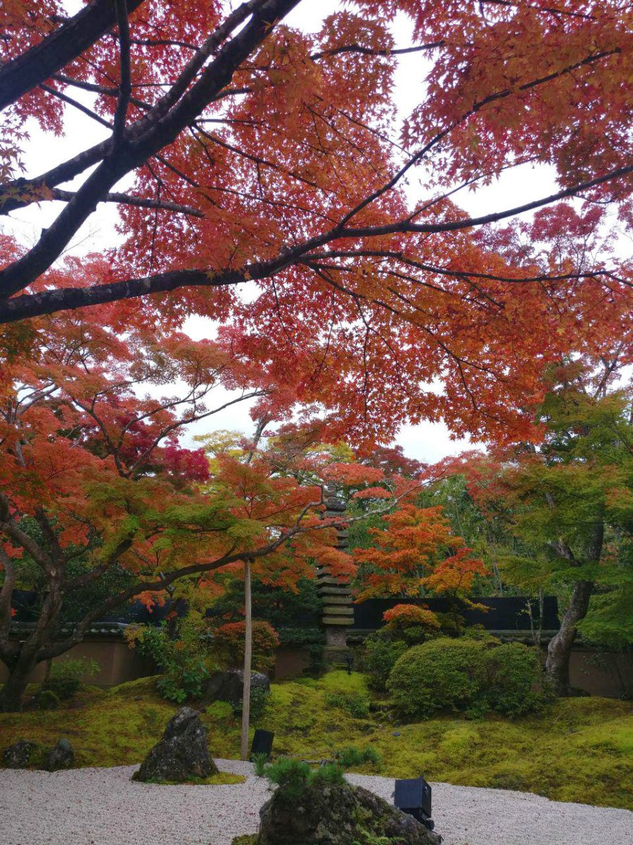 photo_2018-11-09_01-35-32