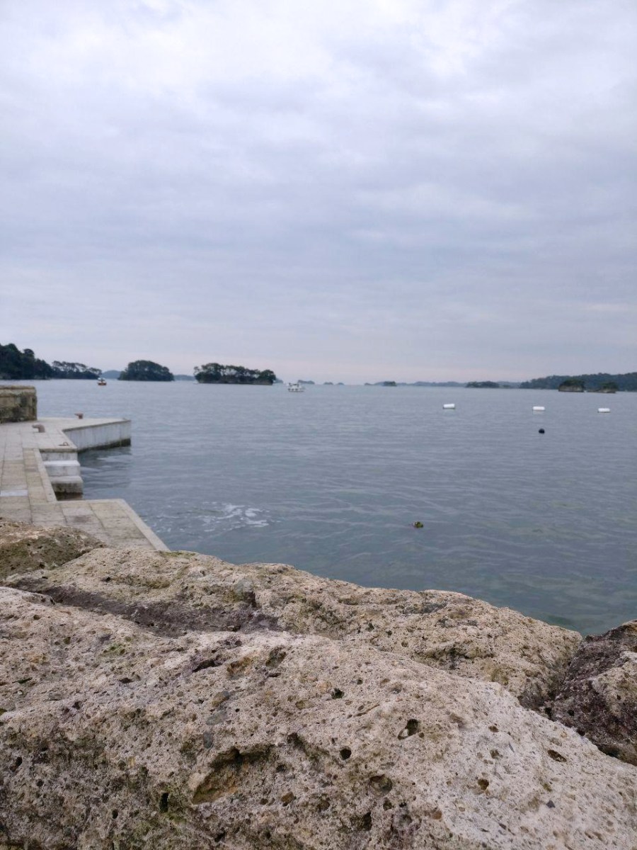 photo_2018-11-09_01-38-15