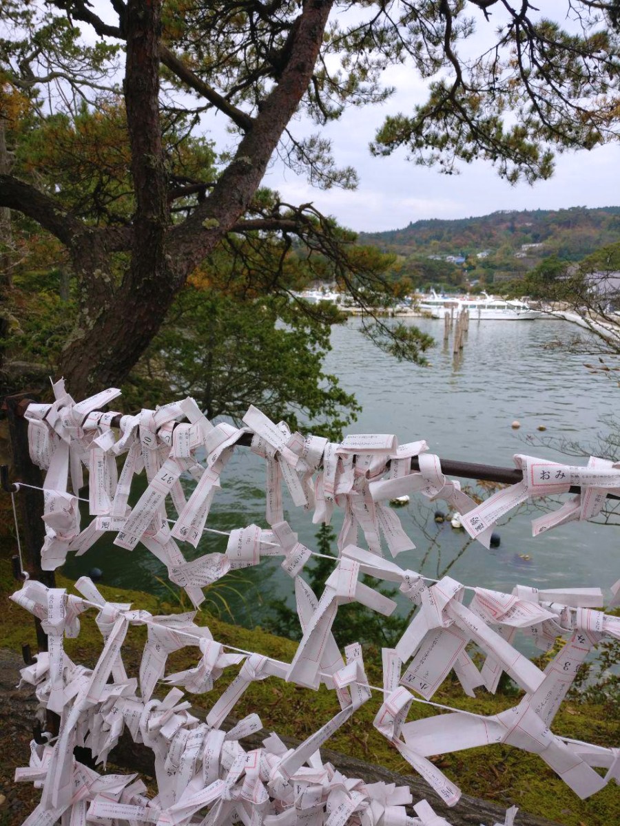 photo_2018-11-09_01-38-59