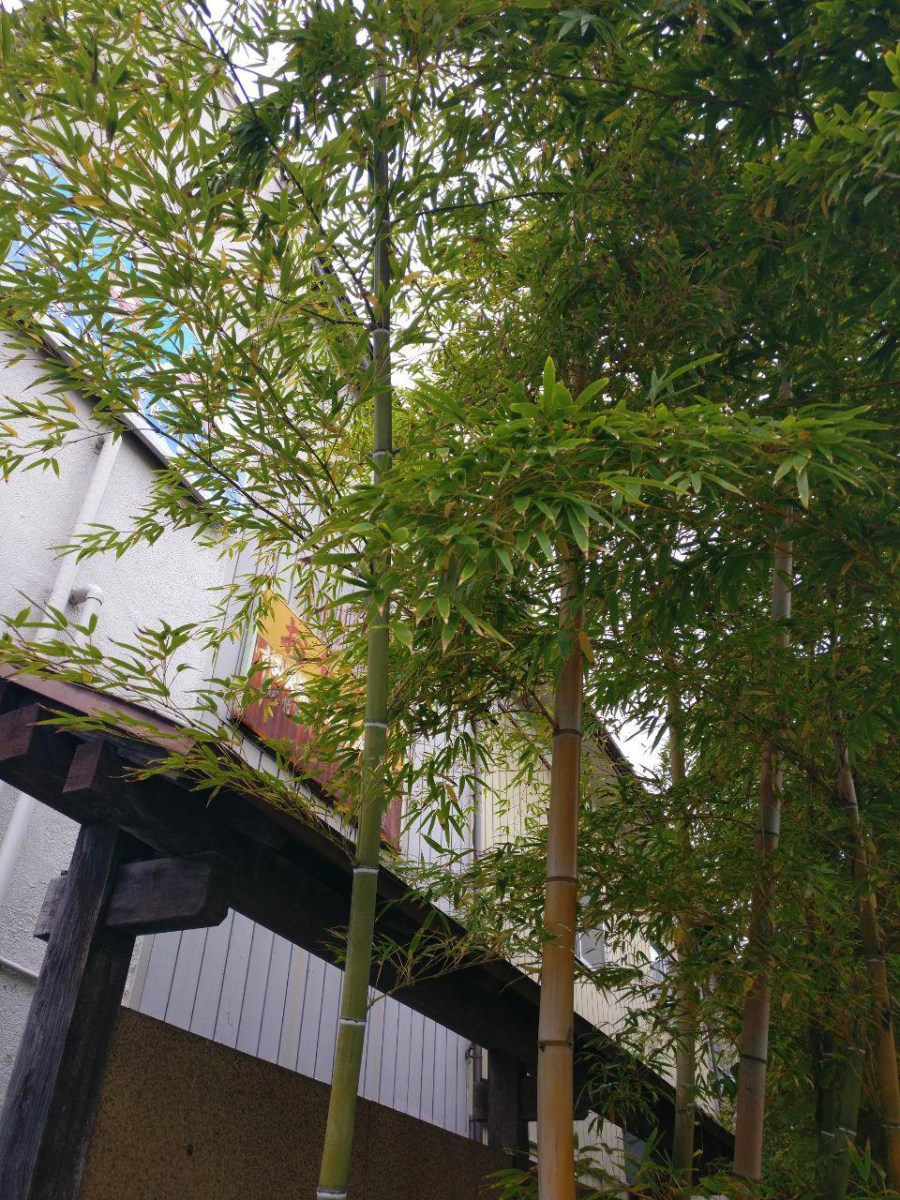 photo_2018-11-09_01-43-00