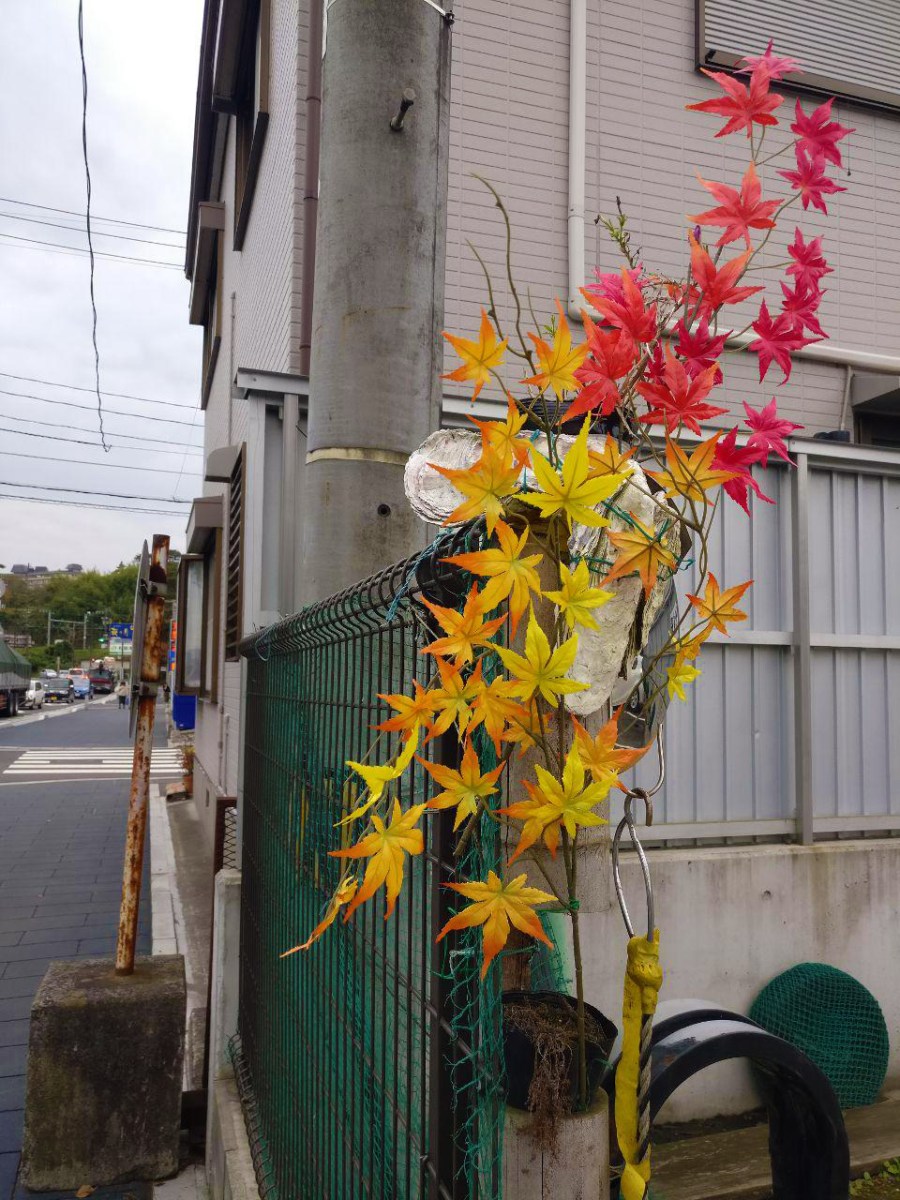 photo_2018-11-09_01-45-02