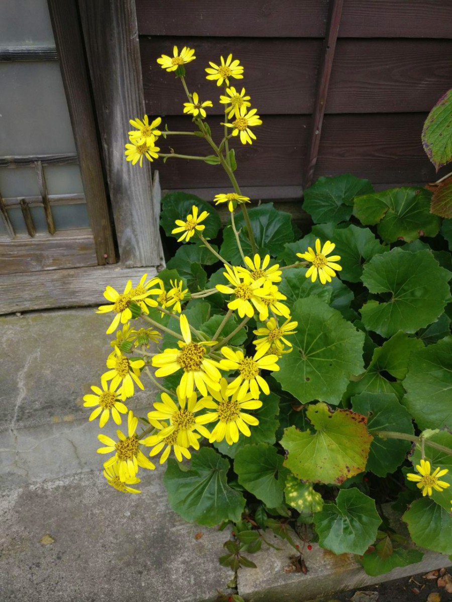 photo_2018-11-09_02-51-01