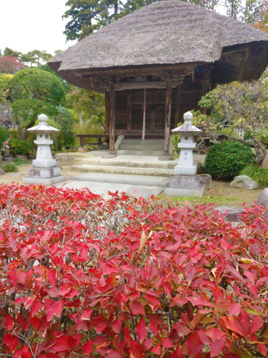 photo_2018-11-09_02-51-23