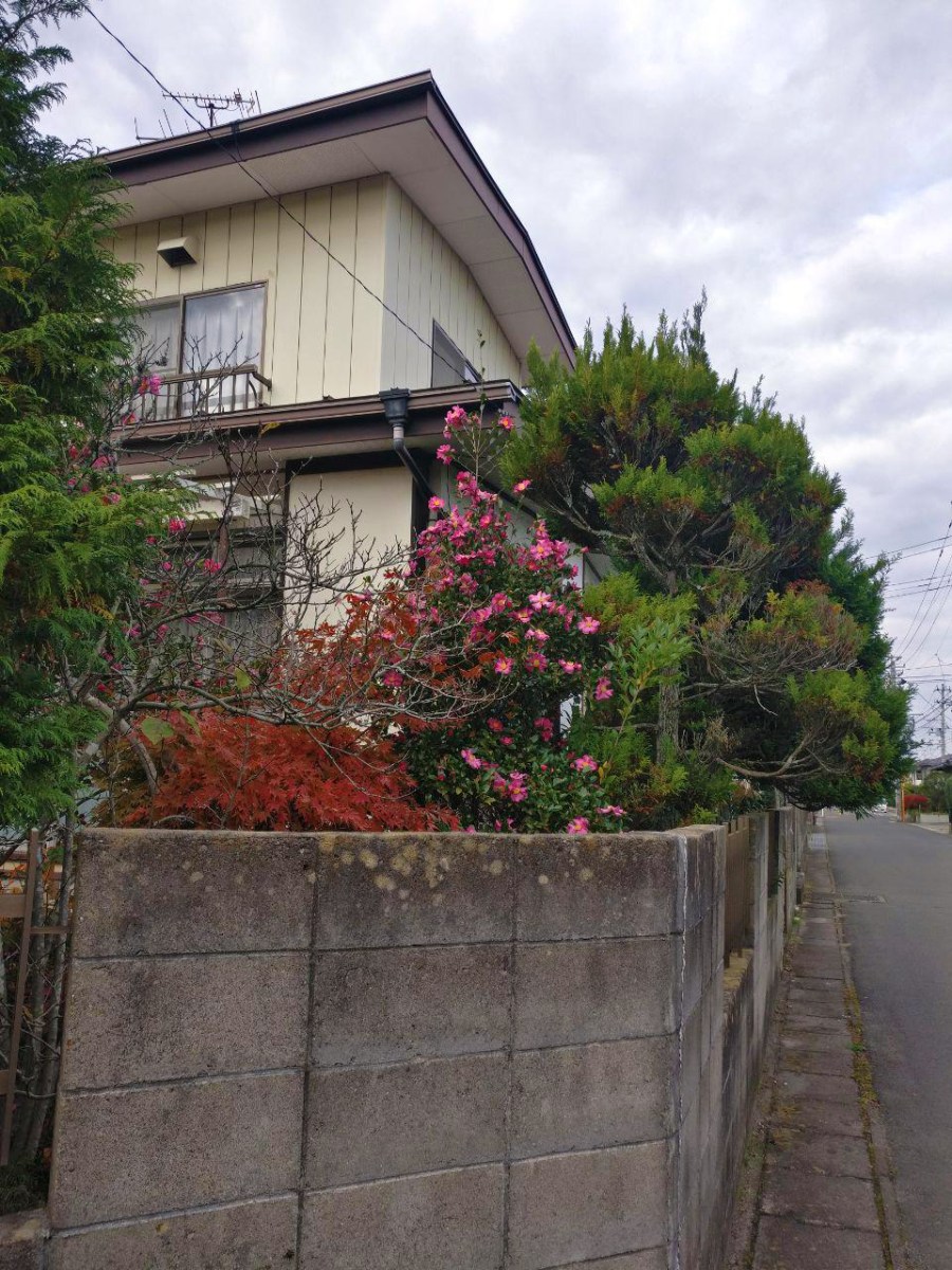 photo_2019-01-23_12-02-54