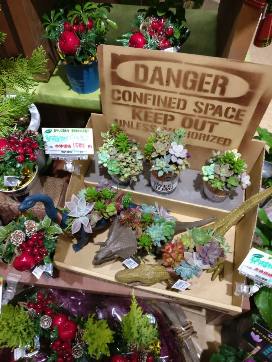 photo_2019-01-23_12-08-08