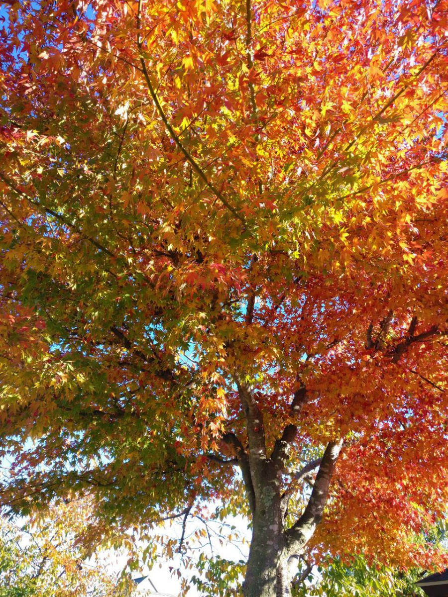 photo_2019-01-23_12-08-52