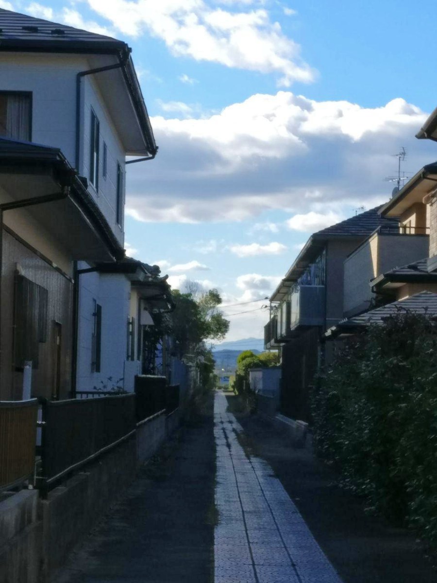 photo_2019-01-23_12-09-44