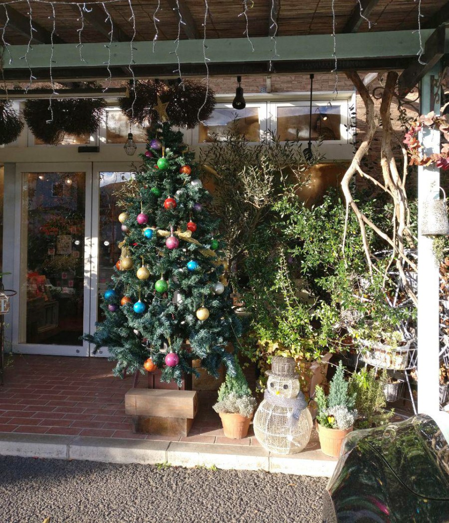 photo_2019-01-23_12-24-37