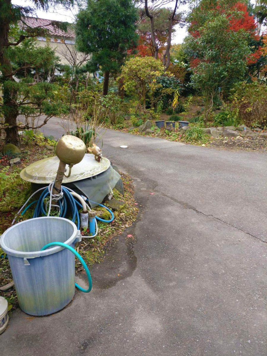 photo_2019-01-23_12-33-12