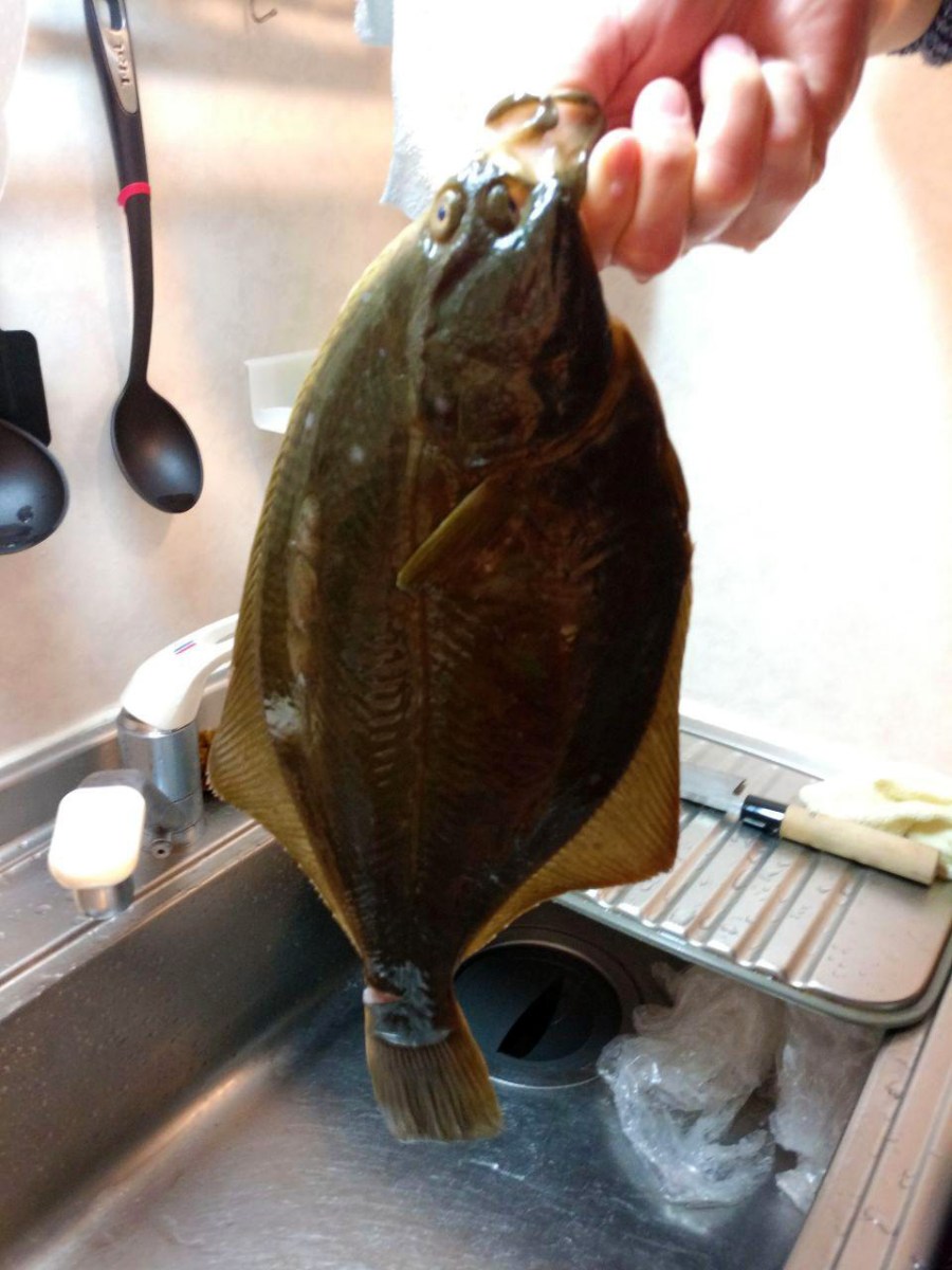 photo_2019-01-23_12-35-26