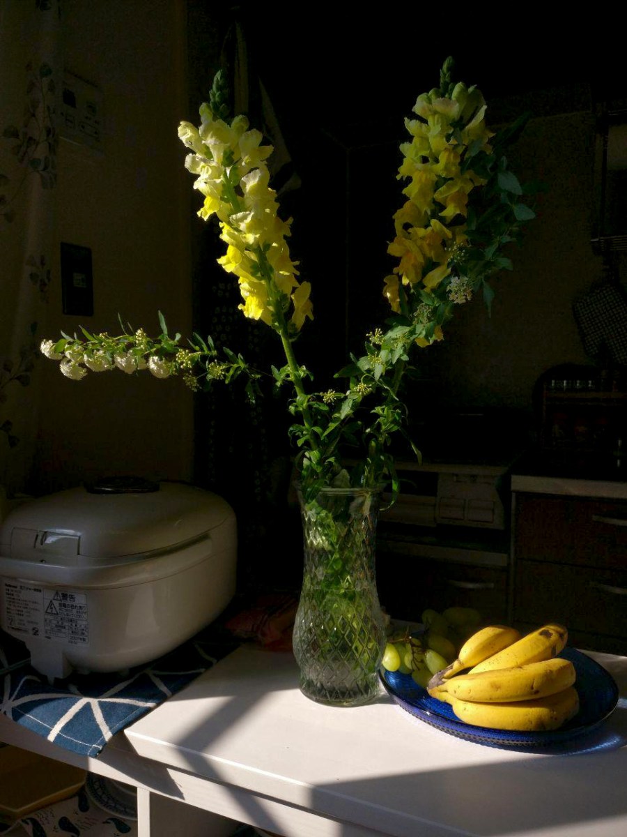 photo_2019-02-22_09-55-53 (2).jpg