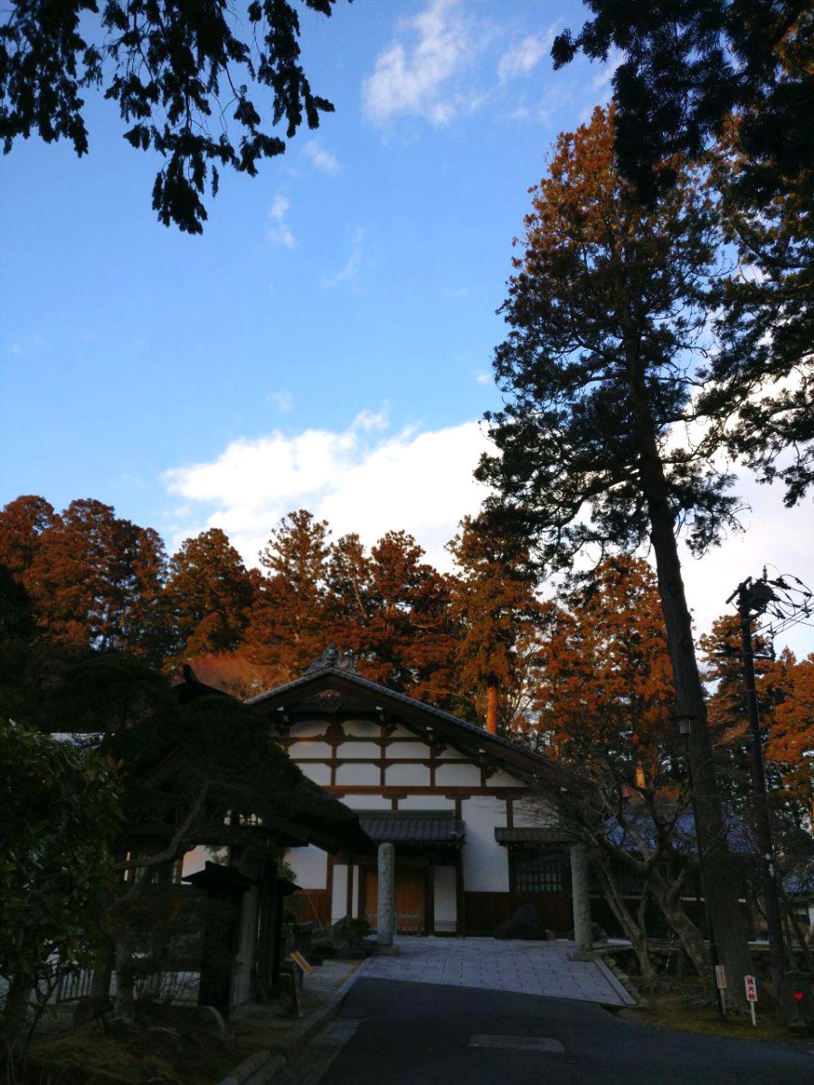 photo_2019-03-01_16-36-36