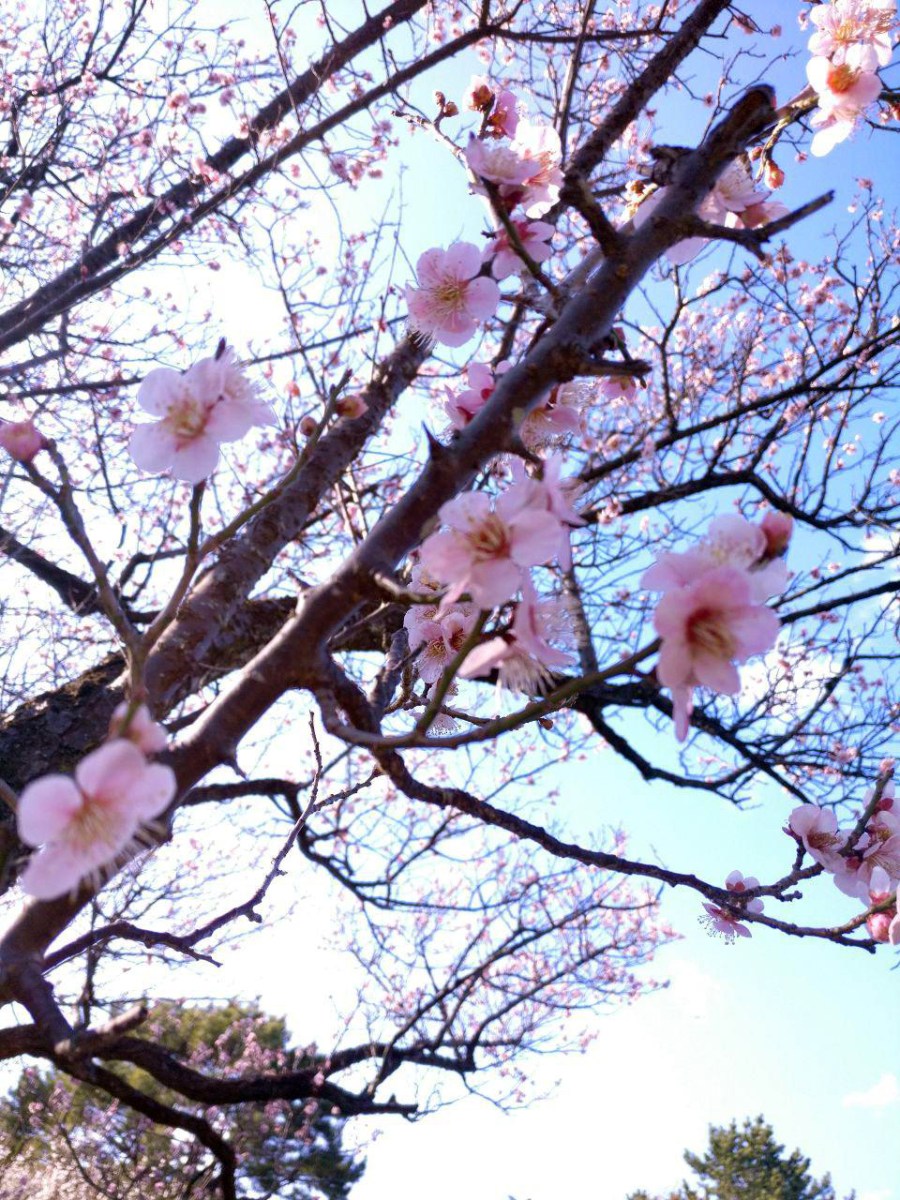 photo_2019-03-18_16-04-18