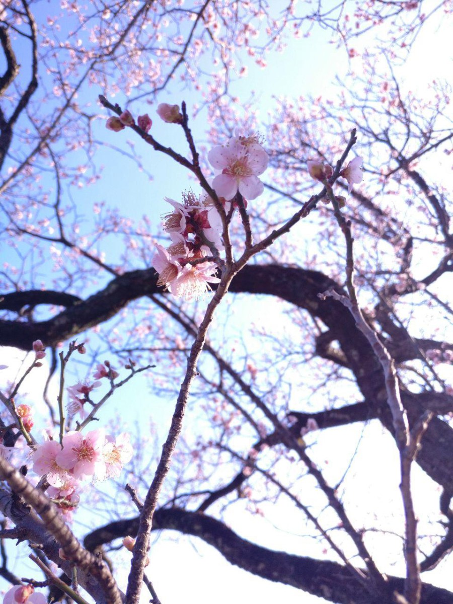 photo_2019-03-18_16-06-44