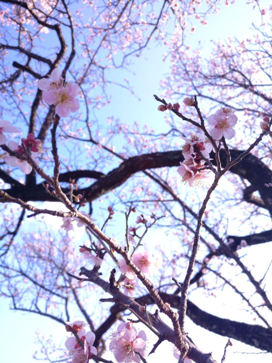 photo_2019-03-18_16-07-01