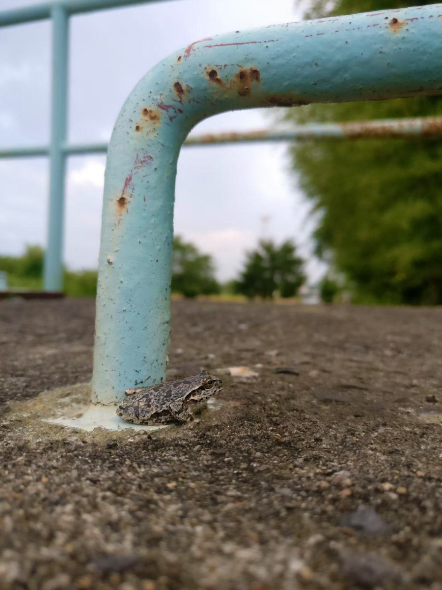 photo_2019-10-30_18-56-23