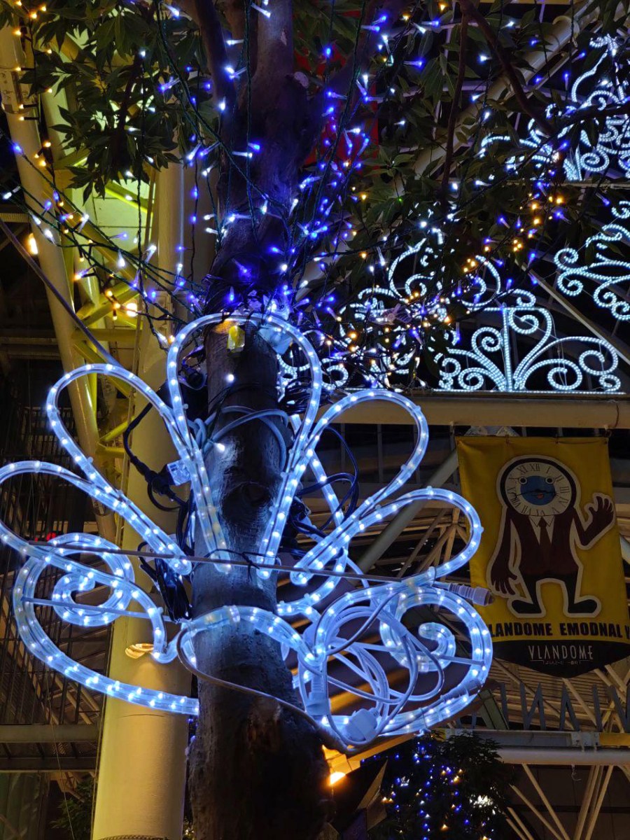 photo_2019-12-23_17-58-46