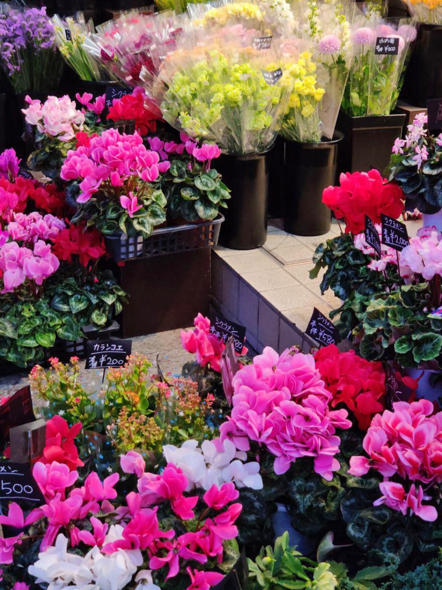 photo_2019-12-23_18-01-56