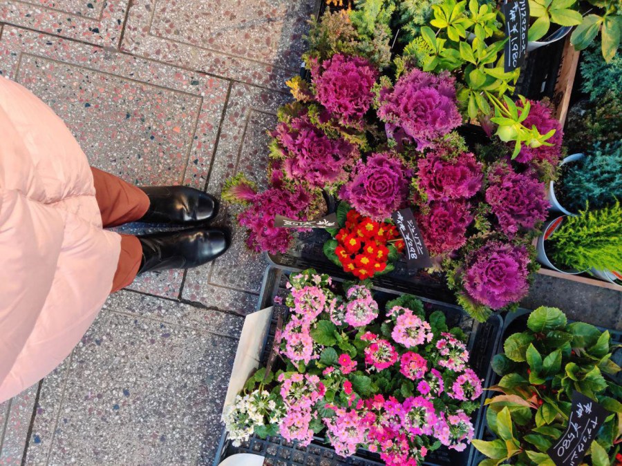 photo_2019-12-23_18-02-28