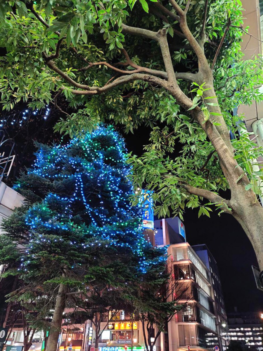 photo_2019-12-23_18-09-06