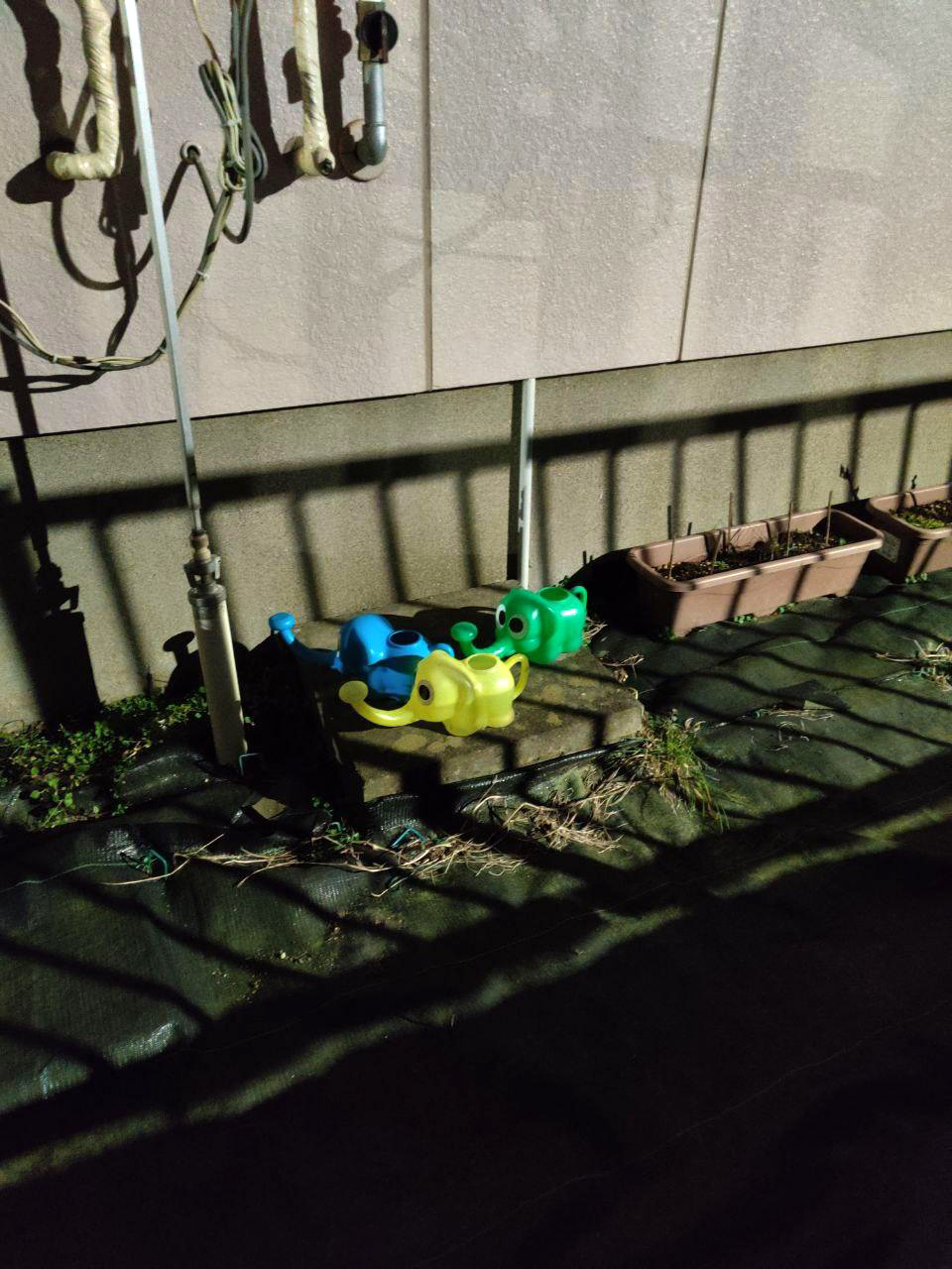 photo_2020-01-25_00-35-45