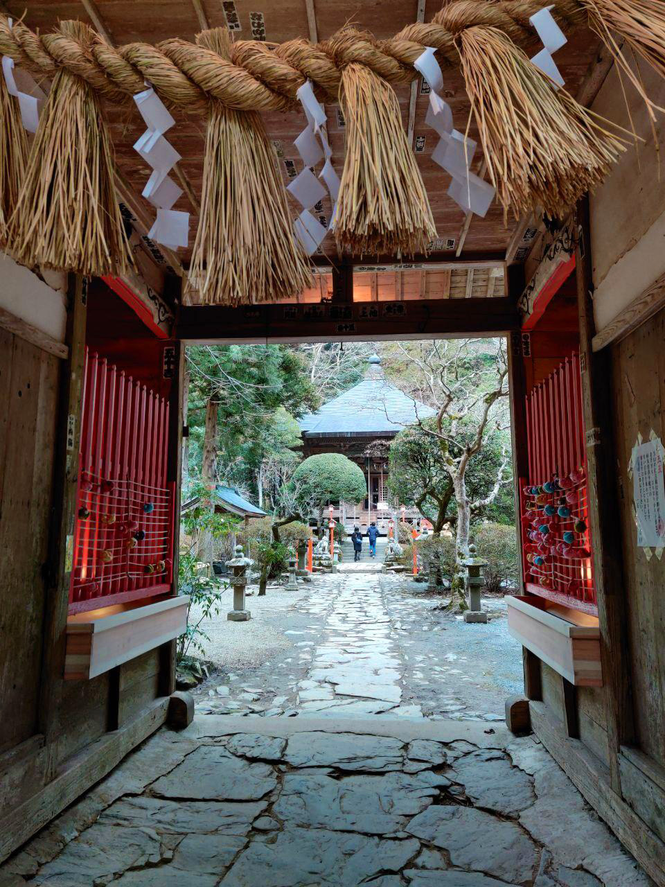 photo_2020-01-25_01-02-11