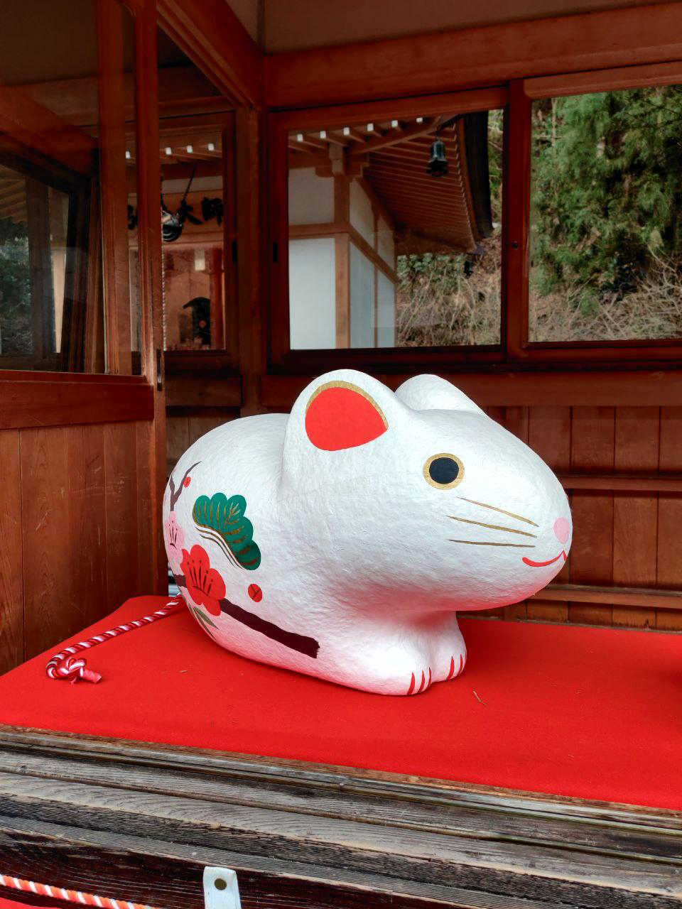 photo_2020-01-25_01-02-47