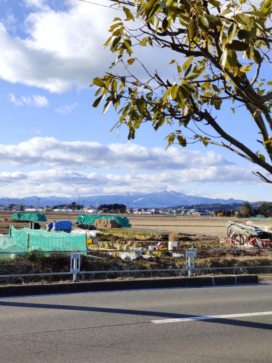 photo_2020-02-12_15-03-14