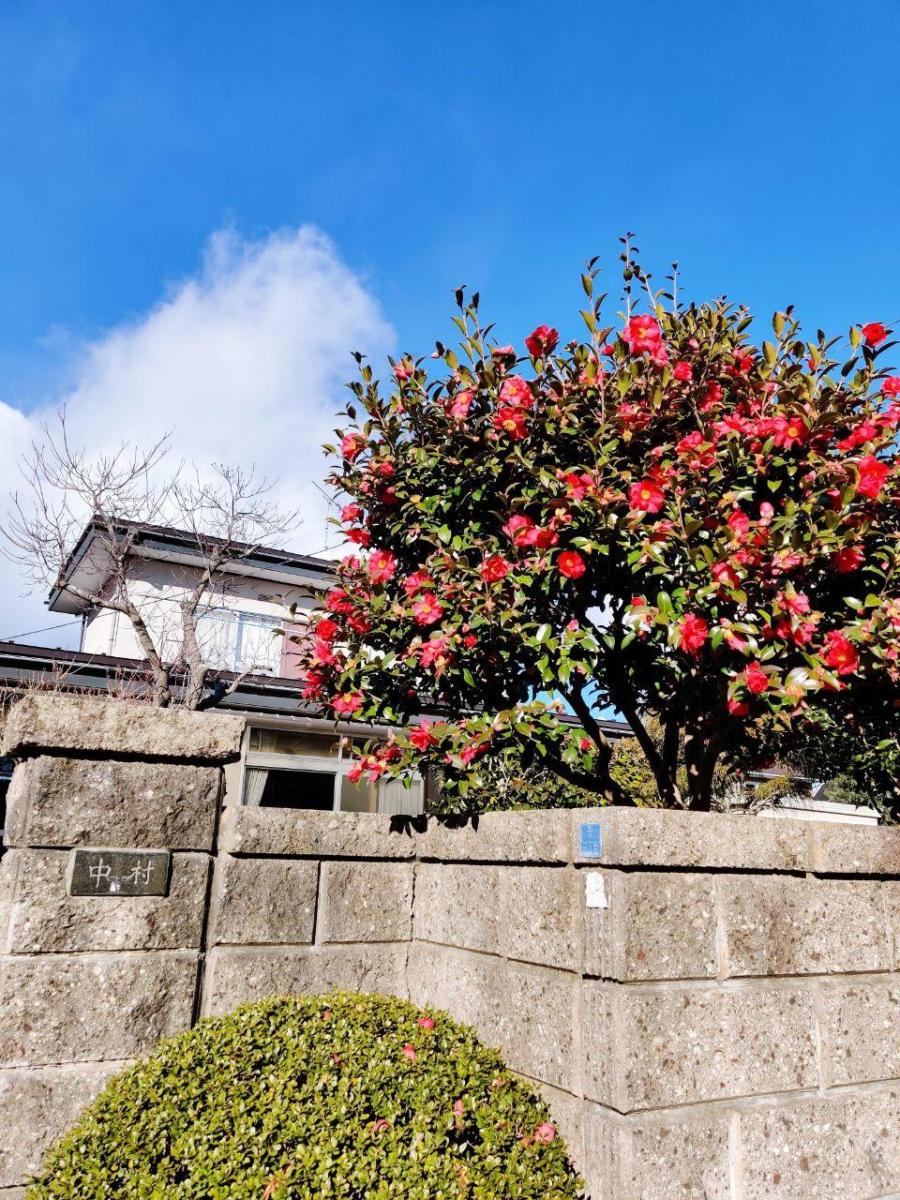 photo_2020-03-29_13-22-57