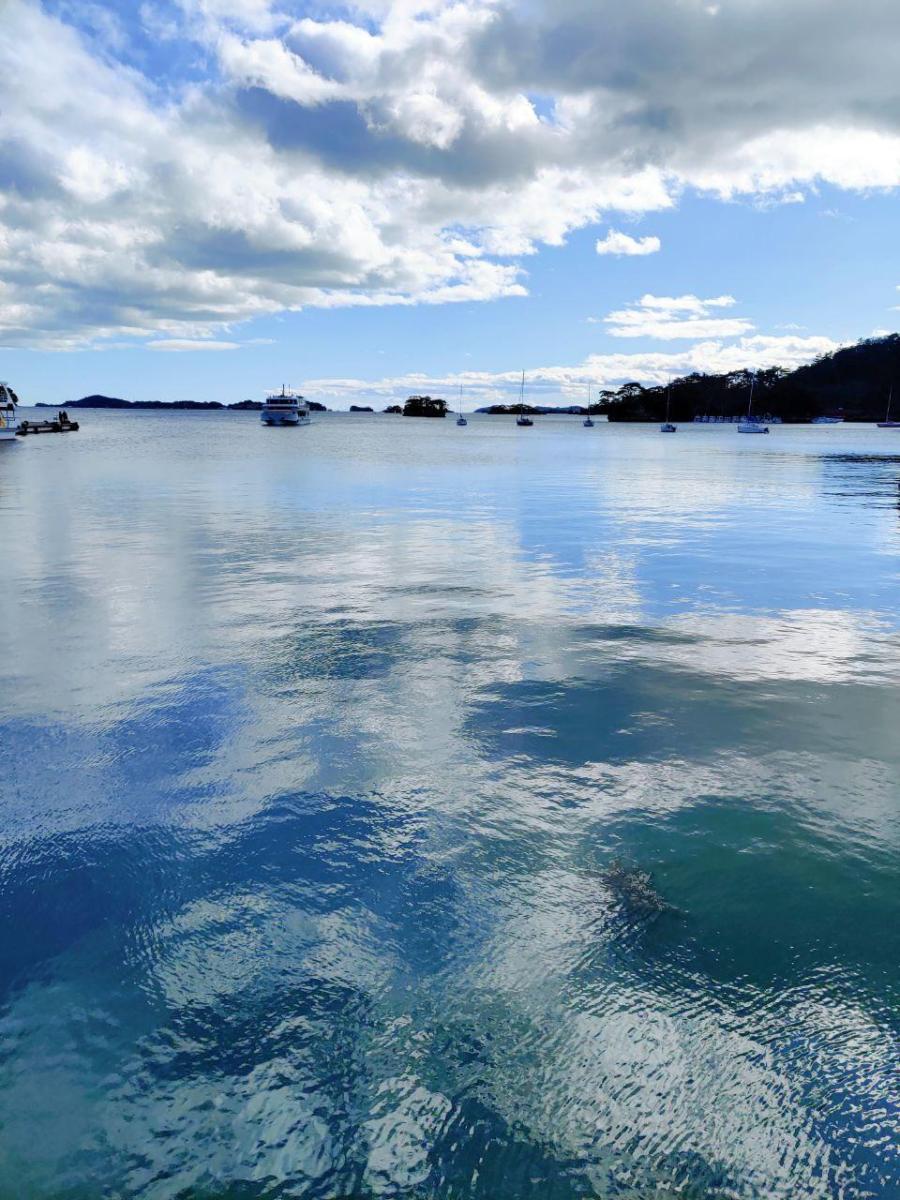 photo_2020-03-29_13-23-21