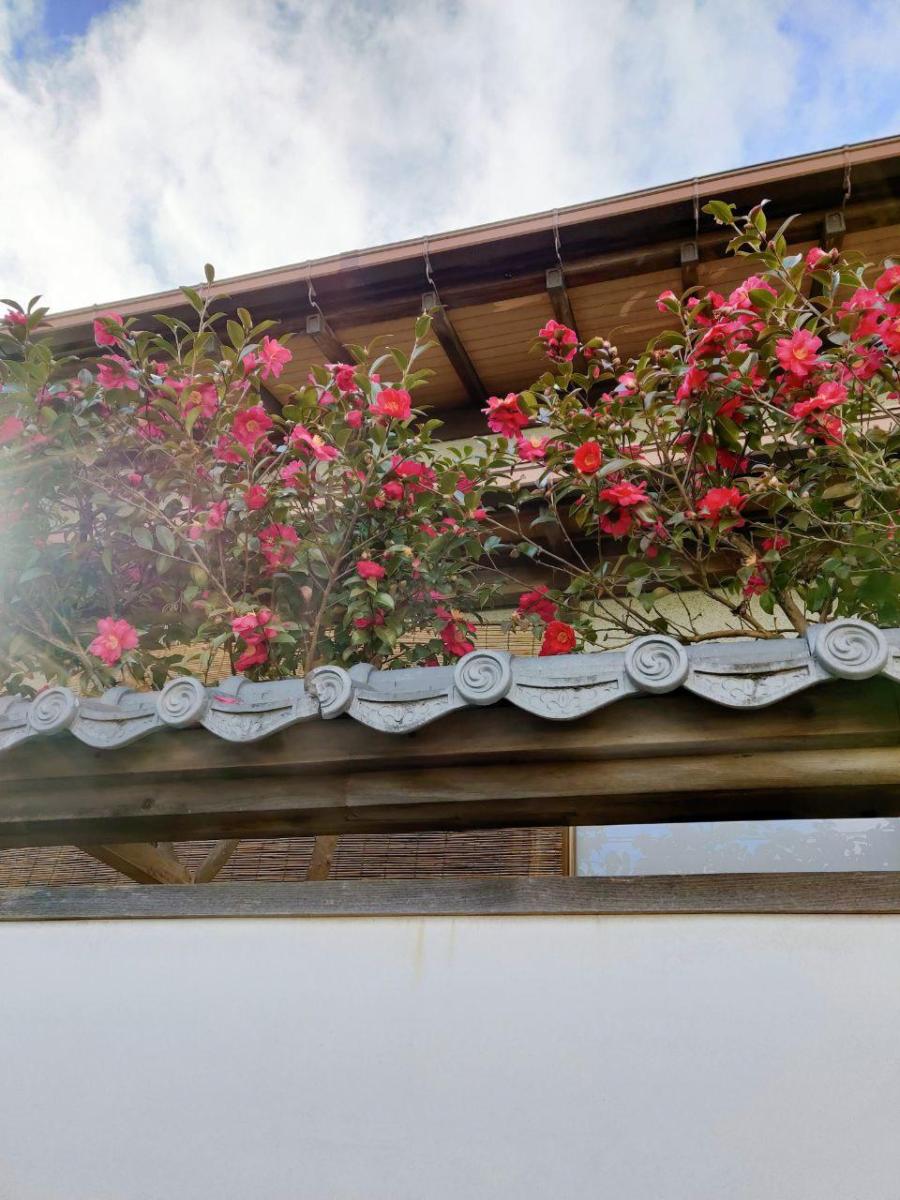 photo_2020-03-29_13-23-24