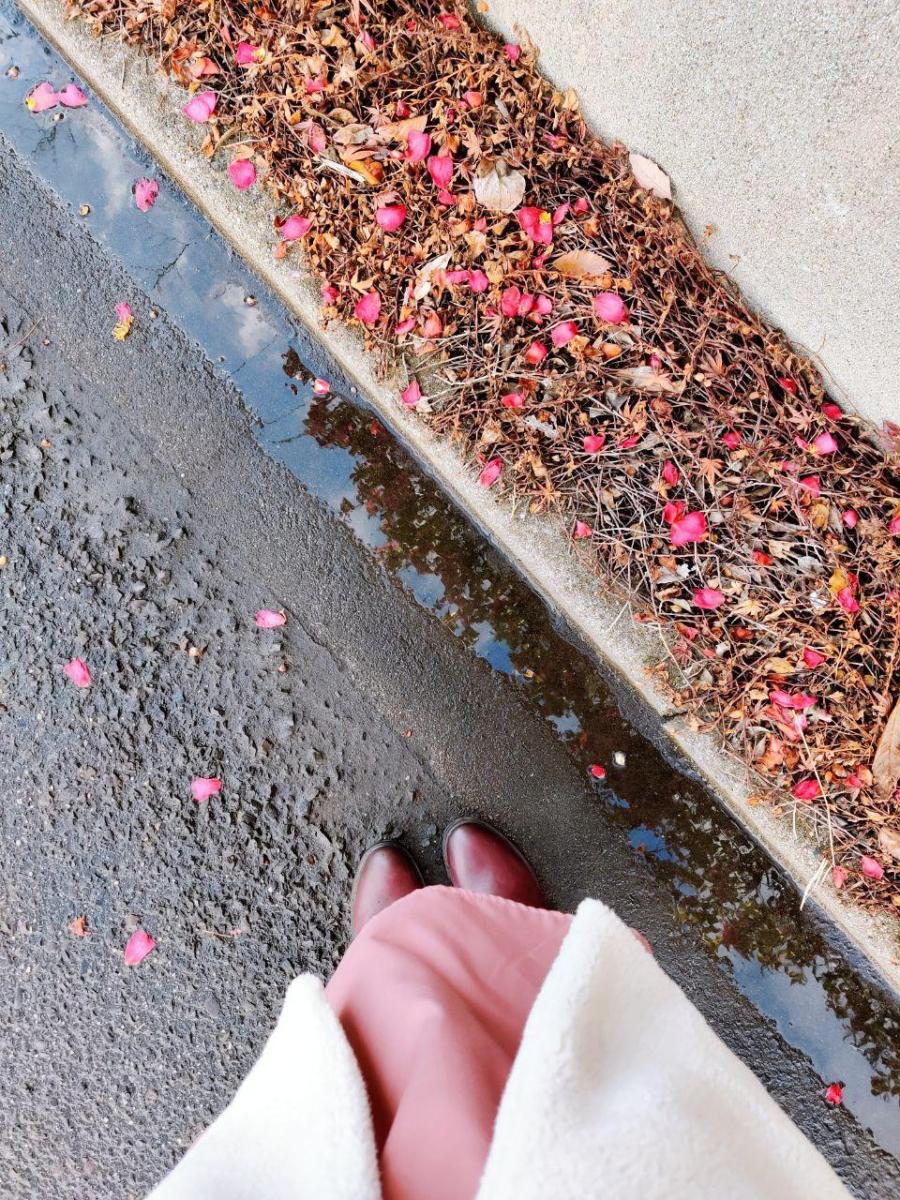 photo_2020-03-29_13-23-26