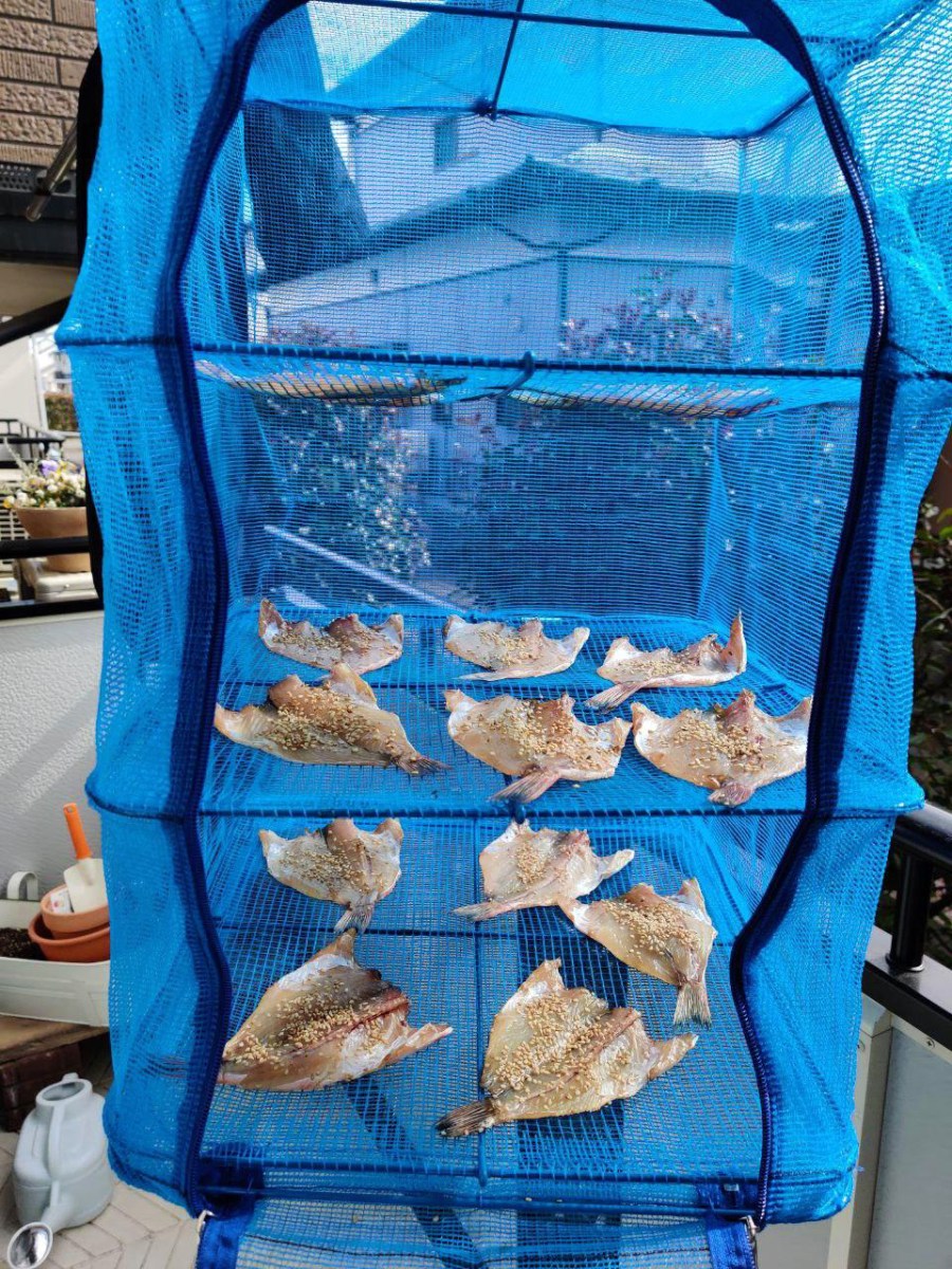 photo_2020-03-04_17-18-55