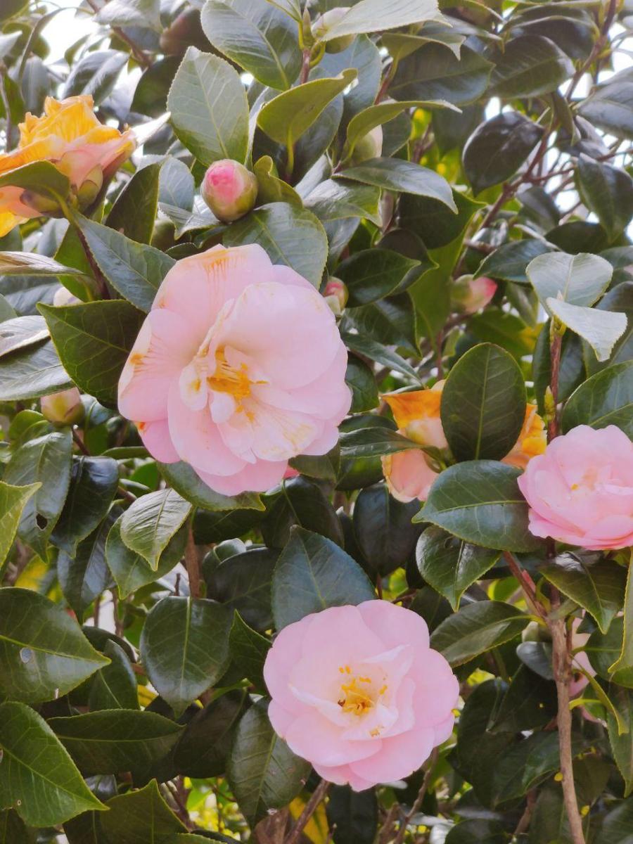 photo_2020-03-09_16-05-55