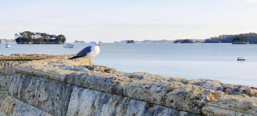 photo_2020-03-12_22-53-58